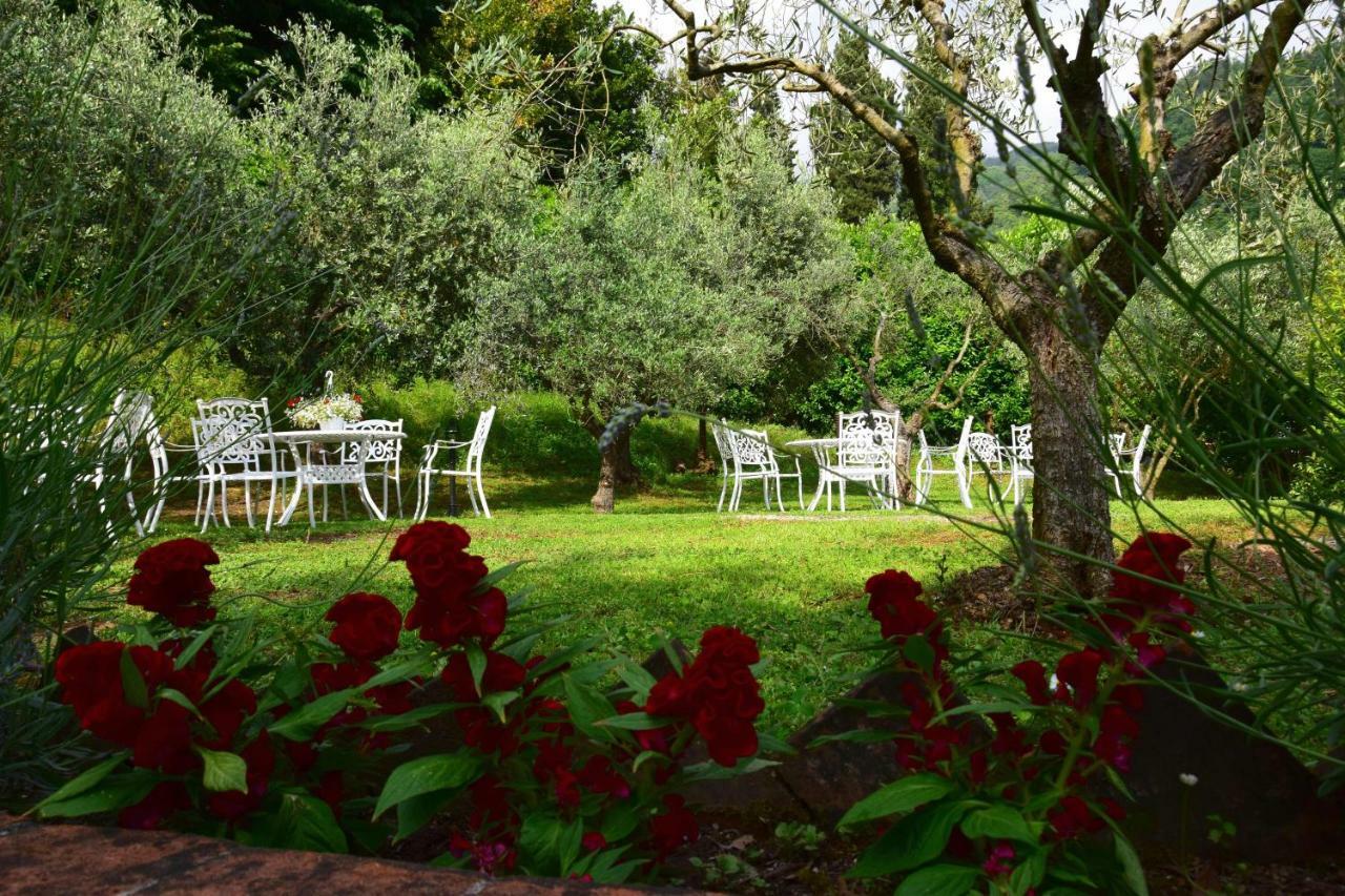 La Sosta In Toscana 卡麦奥雷 外观 照片